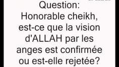 La vision dALLAH par les anges -Cheikh Sâlih al Fawzan-