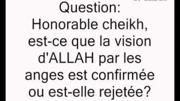 La vision dALLAH par les anges -Cheikh Sâlih al Fawzan-