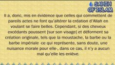 Lépilation des sourcils de la femme -Cheikh Mohamed Ali Ferkous-