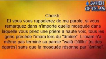 Le âmîne derrière limam -Cheikh al Albani-