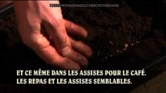 QUAND UN ÉMINENT SAVANT EST CONSEILLÉ PAR UN SIMPLE HOMME!