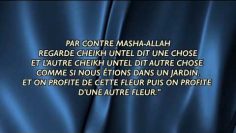 LA VÉRITÉ NEST PAS UN PIQUE-NIQUE .SH S ARROHAYLI