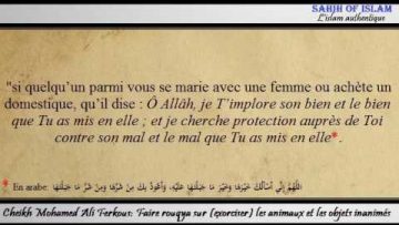 Faire rouqya sur (exorciser) les animaux et les objets inanimés – Cheikh Mohamed Ali Ferkous