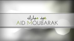 AID MOUBARAK.