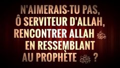 NAIMERAIS-TU PAS, Ô SERVITEUR DALLAH, RENCONTRER ALLAH ﷻ EN RESSEMBLANT AU PROPHÈTE ﷺ ?