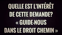 QUELLE EST LINTÉRÊT DE CETTE DEMANDE ? « GUIDE-NOUS DANS LE DROIT CHEMIN »