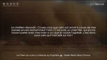 Le Chien qui a pris La Défense du Prophète ﷺ – Sheikh Reda Abou Chama