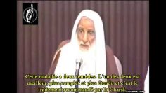 Maladies Du Coeur Et Du Corps Et Leurs Remedes En Islam (sheikh al Uthaymin)