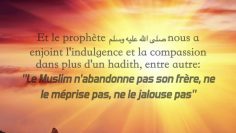 Ayez de la sagesse entre vous – Sheikh Rabi