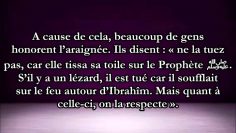 Biographie du Prophète :  lhistoire fausse de laraignée et du pigeon