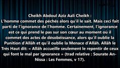 Condamner le mal que je vois – Sheikh Abd Al-Aziz Ali Sheikh