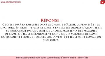 Conseil pour que les Salafis soient comme le coeur dun seul homme – Sheikh Rabi