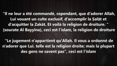 Définition religieuse de lislam   cheikh al Fawzan