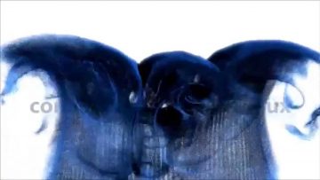 Délaisser la prière en groupe à cause du travail – Sheikh Al Albani