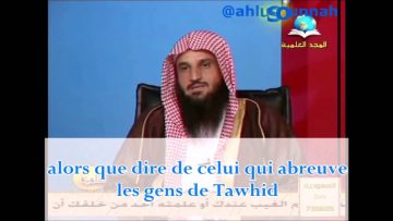 Elle est entrée au paradis pour avoir abreuvé un chien – Sheikh Abd Ar-Razaq Al Badr