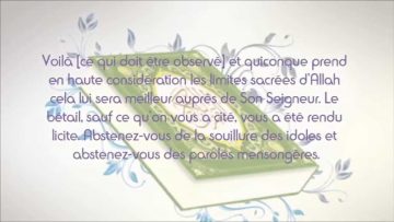 Entrer dans les toilettes avec un Coran ? – Sheikh Al Bouray