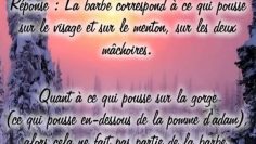 Est ce que la barbe comprend le cou ? – Sheikh Zayd ibn Mohamed Al Madkhali