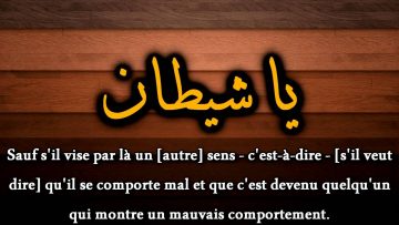 Est il permis au musulman de dire à son frère : “Ô Shaytane”