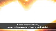 Est il permis de parler de polygamie avec sa femme si cela lattriste ? – Sheikh Abd Allah Al Adani