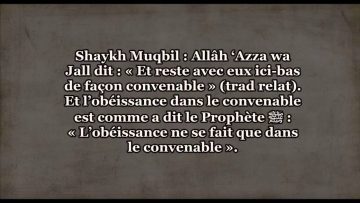 Est-il permis d’obéir aux parents qui délaissent la prière ? – Sheikh Muqbil