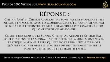 Est-il vrai que Cheikh Al-Albani et Cheikh Rabi sont des mourjias ? – Sheikh An-Najmi