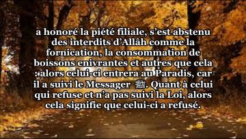 Explication du hadith: “Toute ma Communauté entrera au Paradis sauf celui qui refuse”