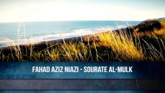 Fahad Aziz Niazi – Sourate Al-Mulk