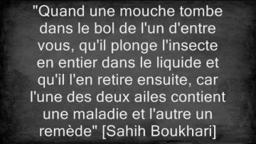Hadith de la mouche -Cheikh al Othaymine-