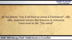 Hadith étonnant sur la sorcellerie -Cheikh AbderRazzaq al Badr-