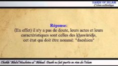 Daesh ne fait partie en rien de lislam – Cheikh Abdelmouhsine al Abbâd