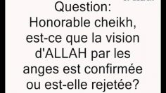 La vision dALLAH par les anges -Cheikh Sâlih al Fawzan-