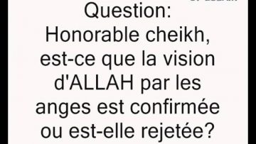 La vision dALLAH par les anges -Cheikh Sâlih al Fawzan-