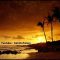 Hadith de lombre dALLAH -Cheikh ibn Bâz-