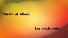 Le chat noir -Cheikh al Albani-