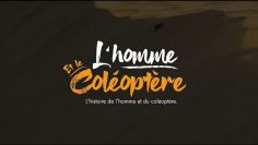 LHISTOIRE DE LHOMME ET DU COLÉOPTÈRE ᴴᴰ