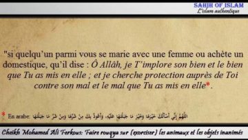 Faire rouqya sur (exorciser) les animaux et les objets inanimés – Cheikh Mohamed Ali Ferkous