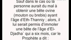 Lâge légal de la bête destinée au sacrifice de lAïd -Cheikh Mohamed Ali Ferkous-