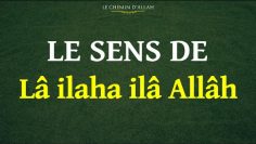 Le sens de Lâ ilaha ilâ Allâh | Sheikh Ibn Baz