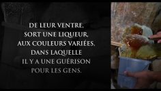 Sourate 16 An-Nahl (les Abeilles) Verset 68/69