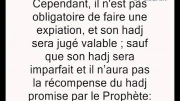 Insulte pendant le hadj -Cheikh Mohamed Ali Ferkous-