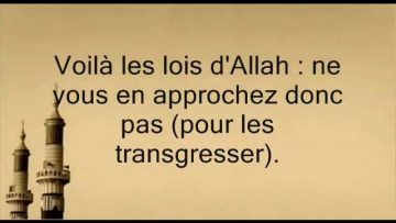 Le madhi (liquide prostatique) et le jeûne – AbdelMohsin al Badr