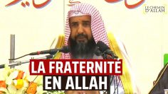 La Fraternité en Allah | Cheikh Rouhayli