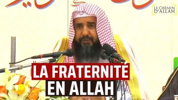 La Fraternité en Allah | Cheikh Rouhayli