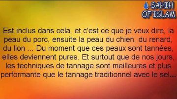 Les vêtements en cuir de porc -Cheikh al Albani-