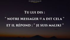 Tu lui dis :  » notre Messager ﷺ a dit cela  » et il répond :  » je suis maliki  » – Shaykh Ar Rouhaylî
