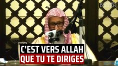 C’est vers Allah que tu te diriges – Shaykh Al Fawzan