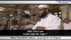 Sourate n°095 : At-Tîn [le figuier]