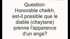 Diable qui prend la forme des anges -Cheikh Sâlih al Fawzan-