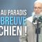 Il est entré aux Paradis pour avoir abreuvé un chien ! | Chaykh Raslan