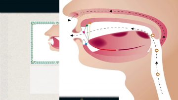 Je lis, récite et mémorise le Quran et ce même si je pars de ZÉRO
